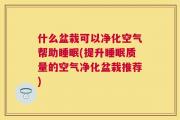 什么盆栽可以净化空气帮助睡眠(提升睡眠质量的空气净化盆栽推荐)