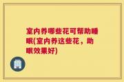 室内养哪些花可帮助睡眠(室内养这些花，助眠效果好)