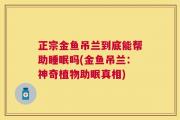 正宗金鱼吊兰到底能帮助睡眠吗(金鱼吊兰：神奇植物助眠真相)