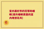 室内最好养的花帮助睡眠(提升睡眠质量的室内理想花卉)