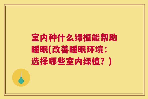 室内种什么绿植能帮助睡眠(改善睡眠环境：选择哪些室内绿植？)