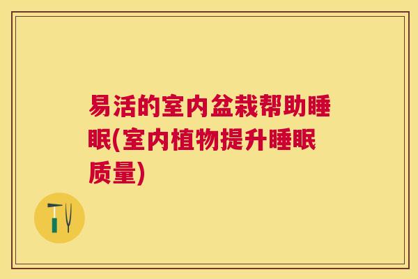 易活的室内盆栽帮助睡眠(室内植物提升睡眠质量)