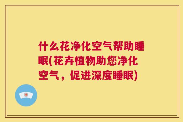 什么花净化空气帮助睡眠(花卉植物助您净化空气，促进深度睡眠)