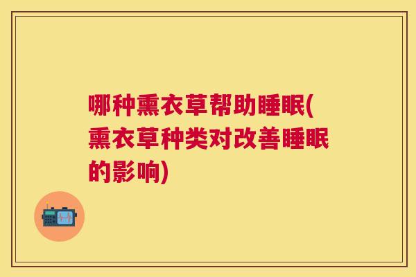 哪种熏衣草帮助睡眠(熏衣草种类对改善睡眠的影响)