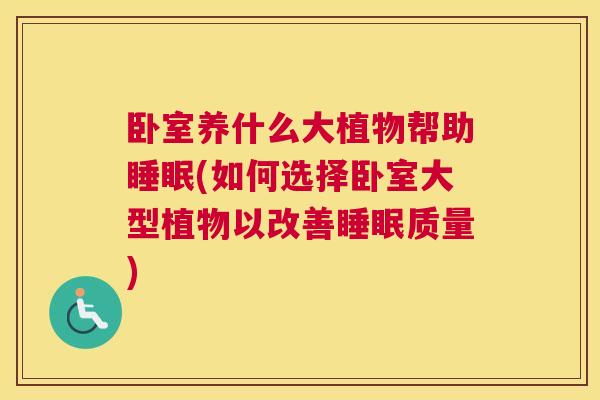 卧室养什么大植物帮助睡眠(如何选择卧室大型植物以改善睡眠质量)