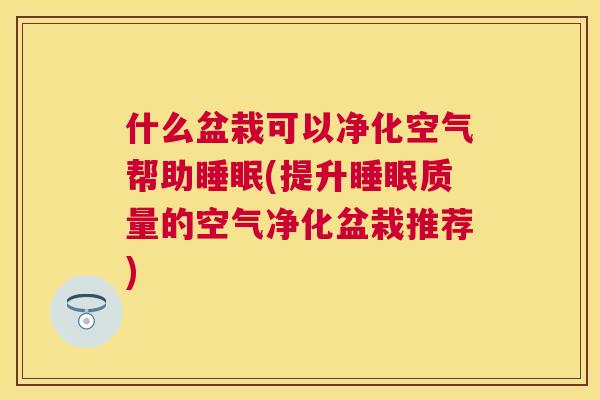 什么盆栽可以净化空气帮助睡眠(提升睡眠质量的空气净化盆栽推荐)