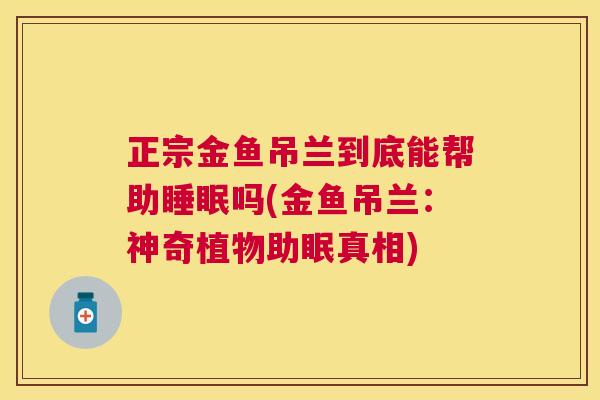 正宗金鱼吊兰到底能帮助睡眠吗(金鱼吊兰：神奇植物助眠真相)
