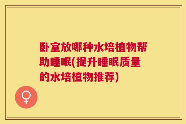 卧室放哪种水培植物帮助睡眠(提升睡眠质量的水培植物推荐)