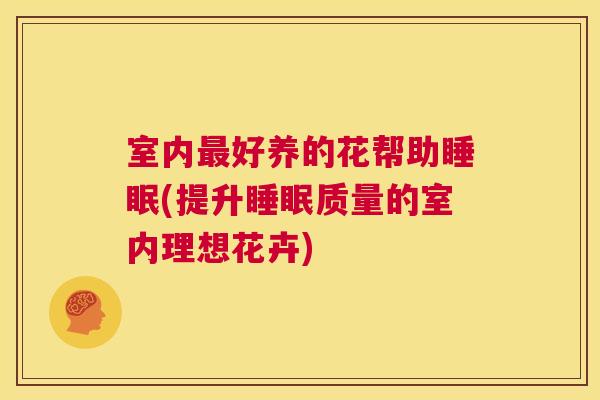 室内最好养的花帮助睡眠(提升睡眠质量的室内理想花卉)